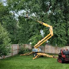 Trusted Portland, TX  Tree Services Experts